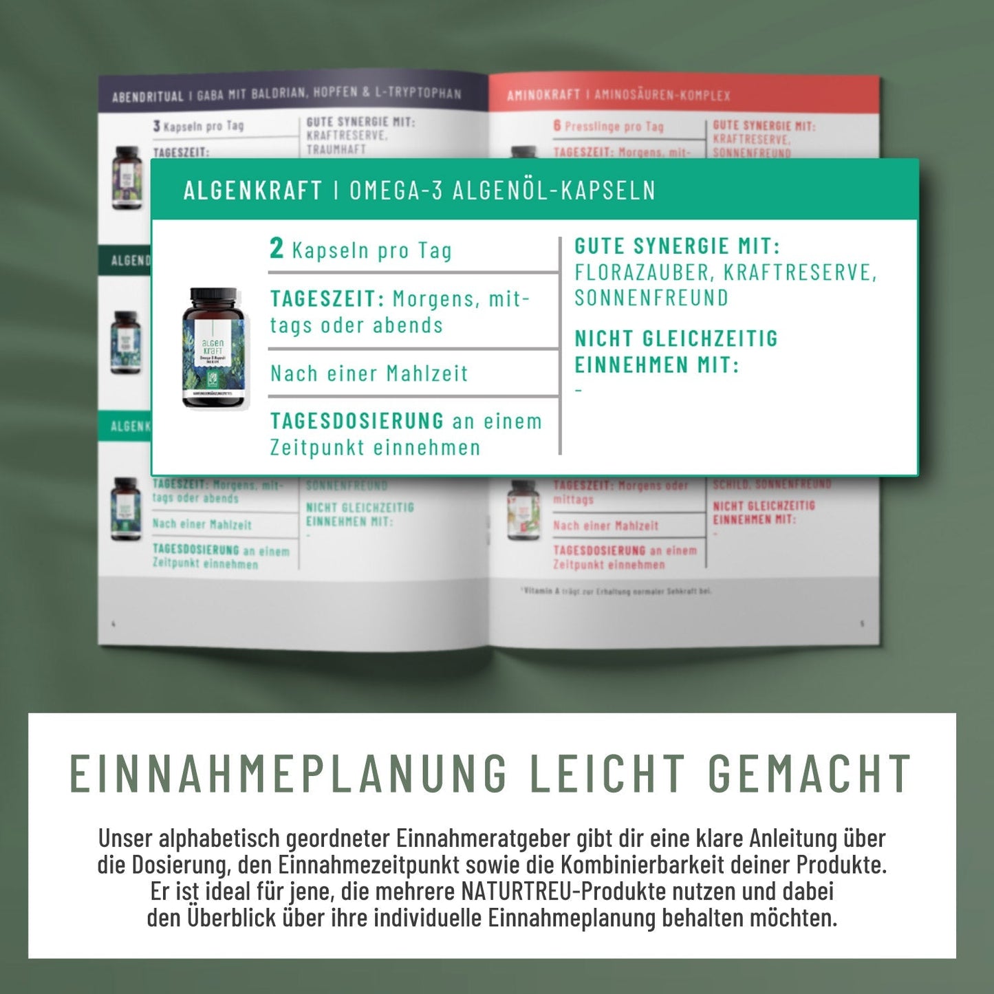 Routine Support Sparpaket