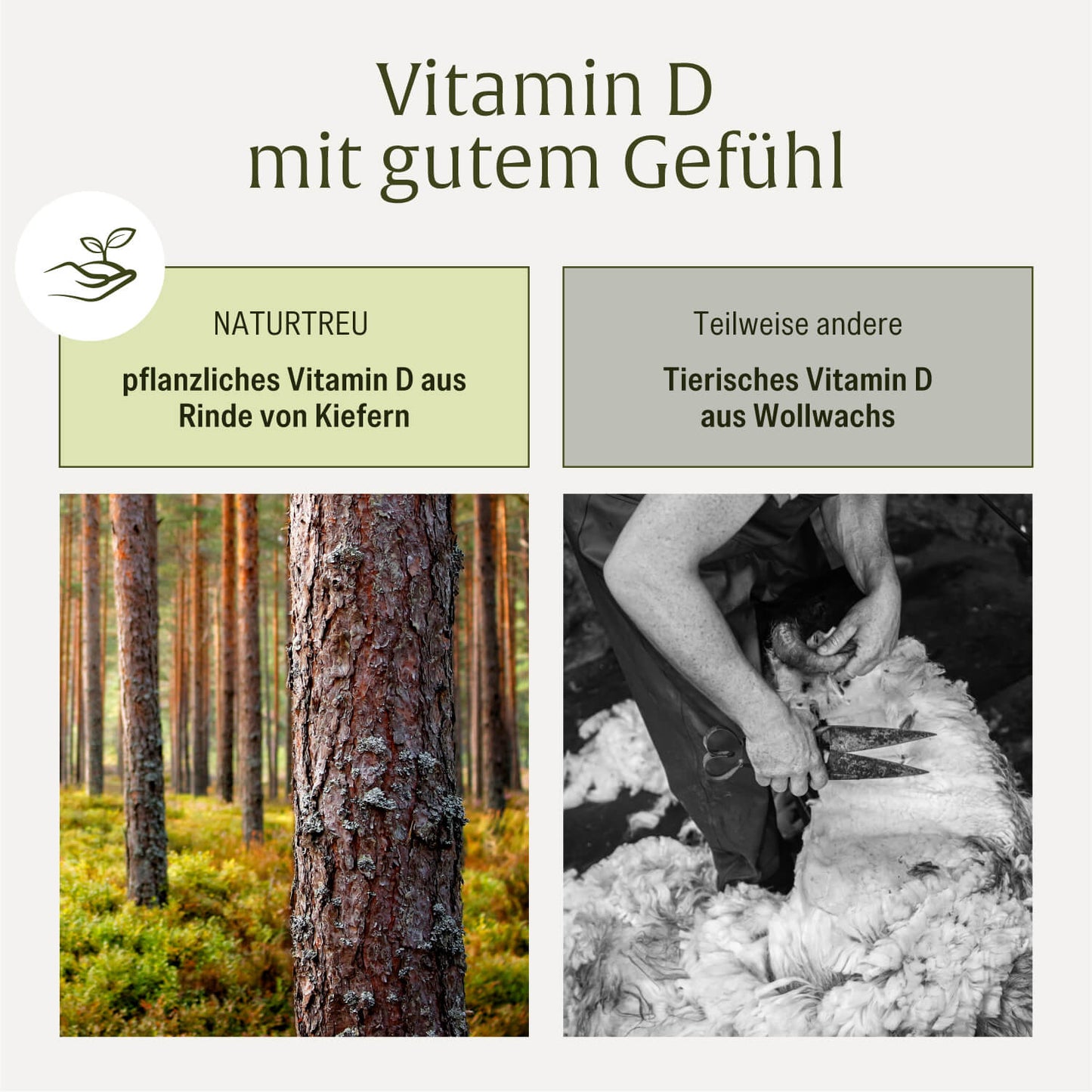 Sonnenschatz Creatives Onlineshop vegan