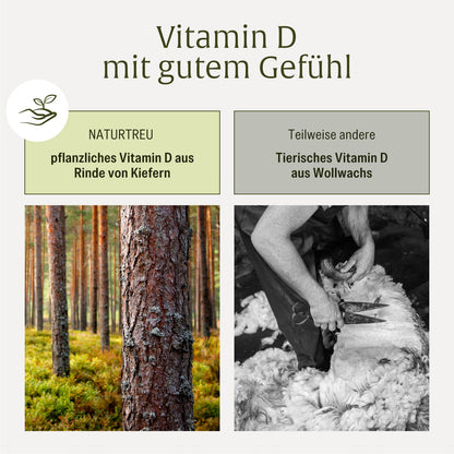 Sonnenschatz Creatives Onlineshop vegan