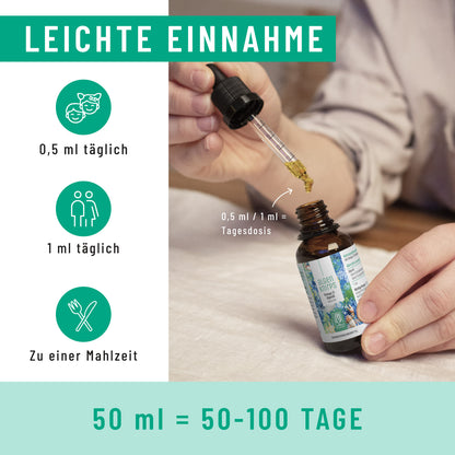 Onlineshop Creative Set Algenknirps Dosierung
