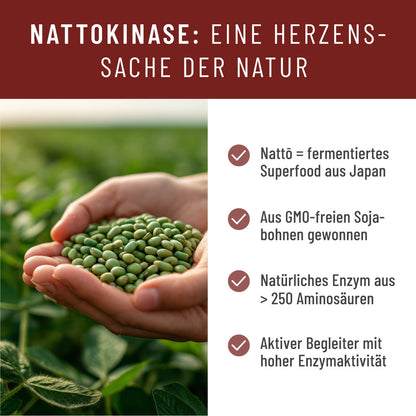 Blutfluss Creatives Onlineshop Nattokinase