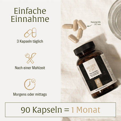 Heldenkraft Einnahme