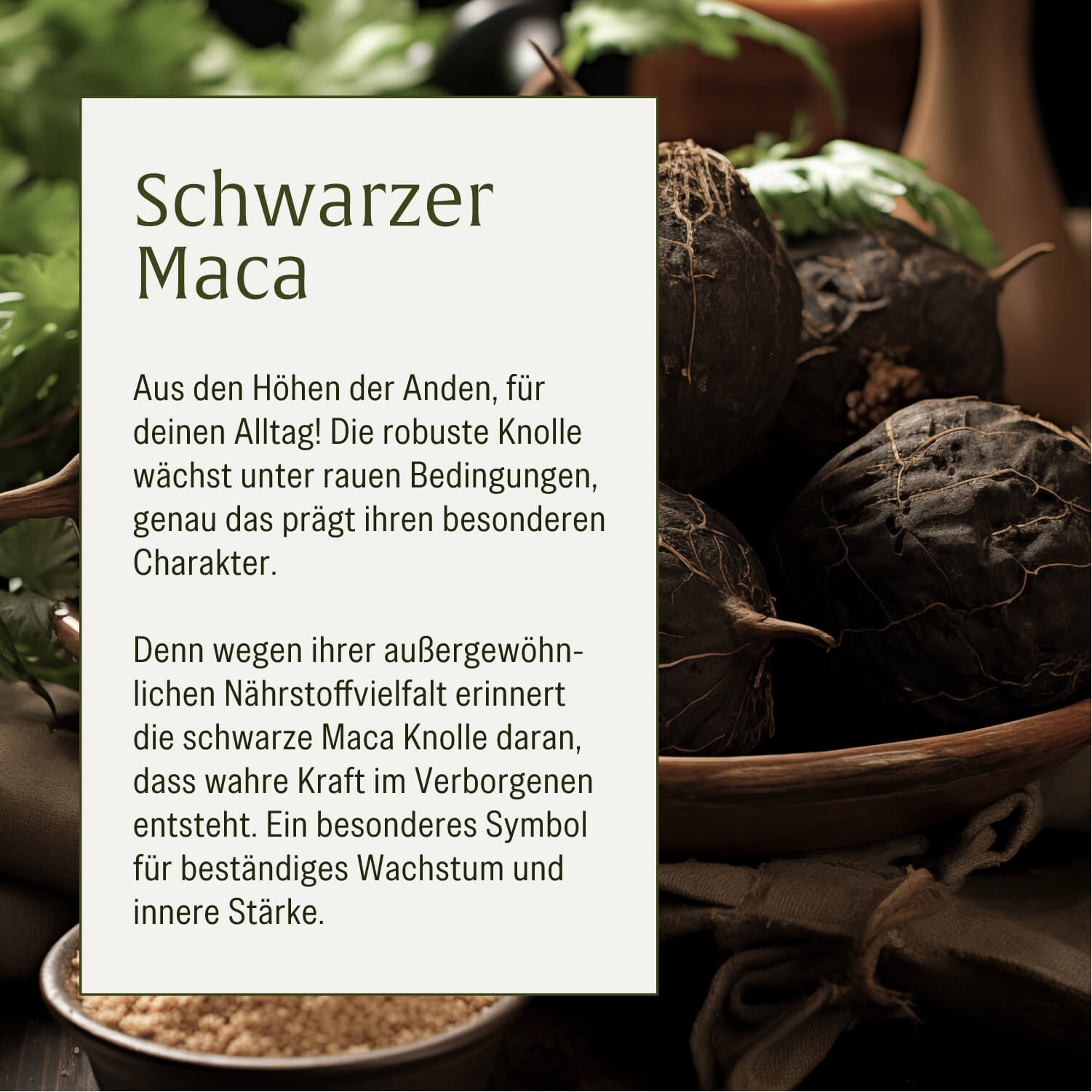 Heldenkraft Zusatz 