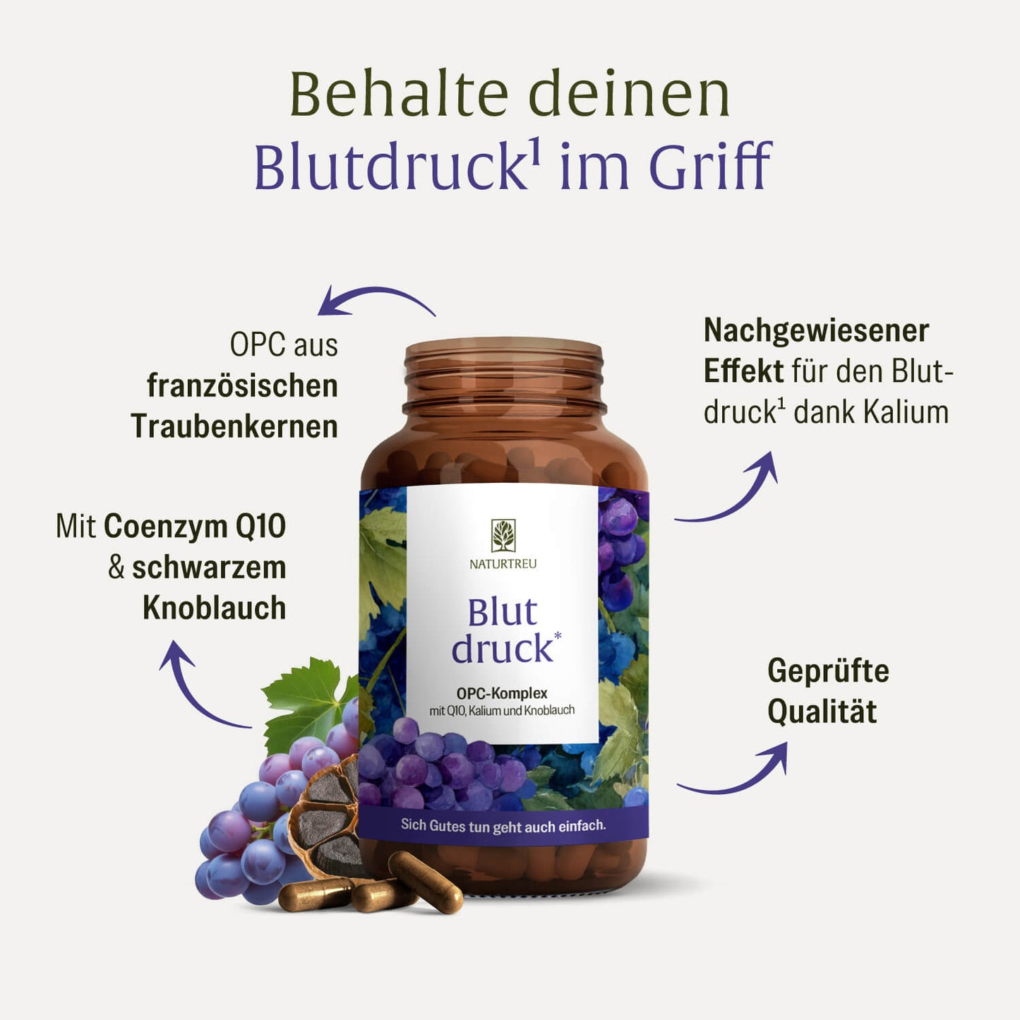 Blutdruck Inhaltsstoffe