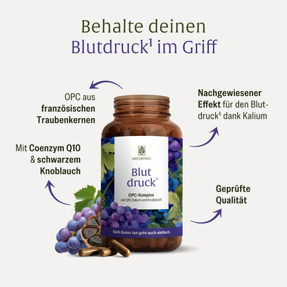 Blutdruck Inhaltsstoffe