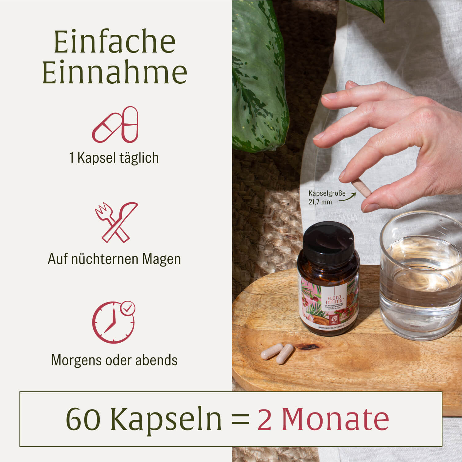Anwendung: Unterstützung für die Intimschleimhaut mit nur einer Floraintima Kapsel pro Tag 