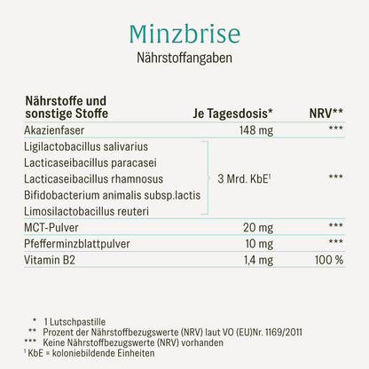 Minzbrise mit Milchsäurebakterien