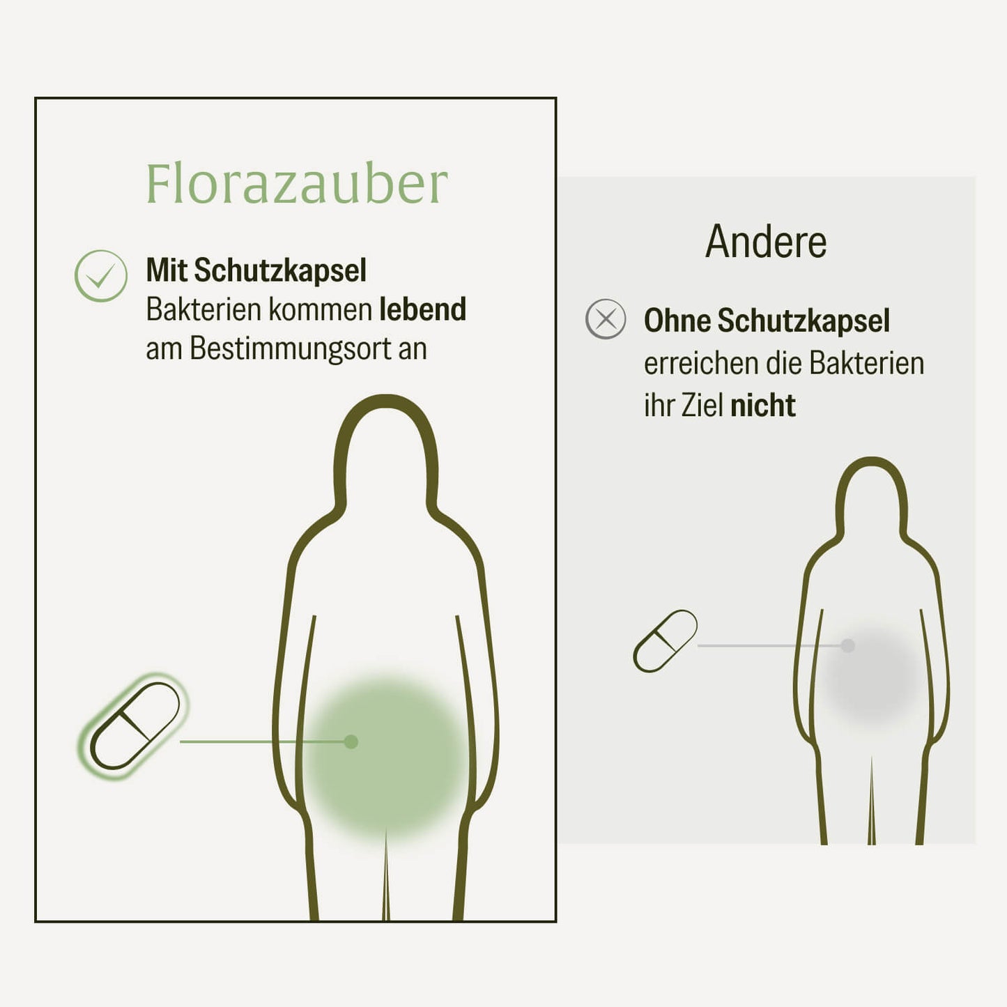 Florazauber: Kulturen-Komplex für den Darm*