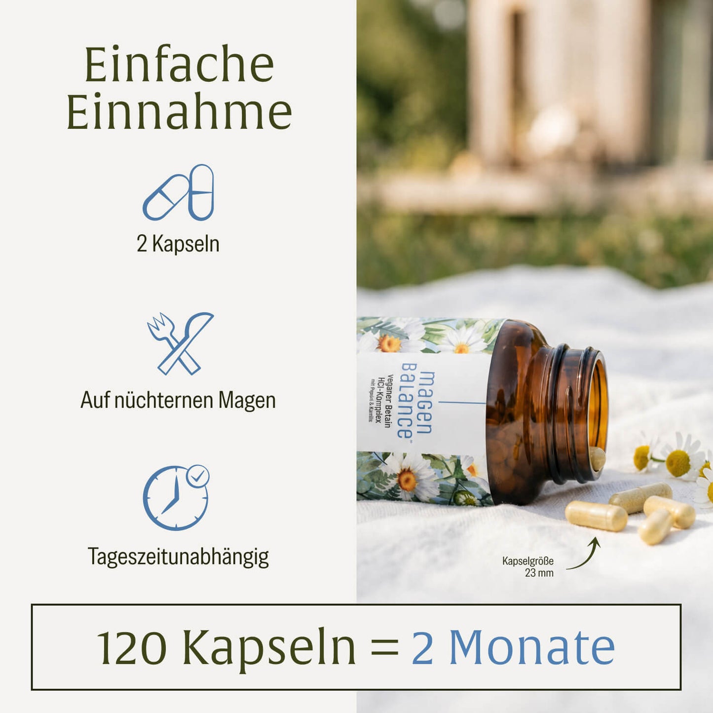 Magenbalance: Betain HCI-Komplex mit Pepsin & Kamille