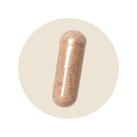 1 x Blutkraft