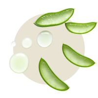 50 ml Aloe Vera Saft
