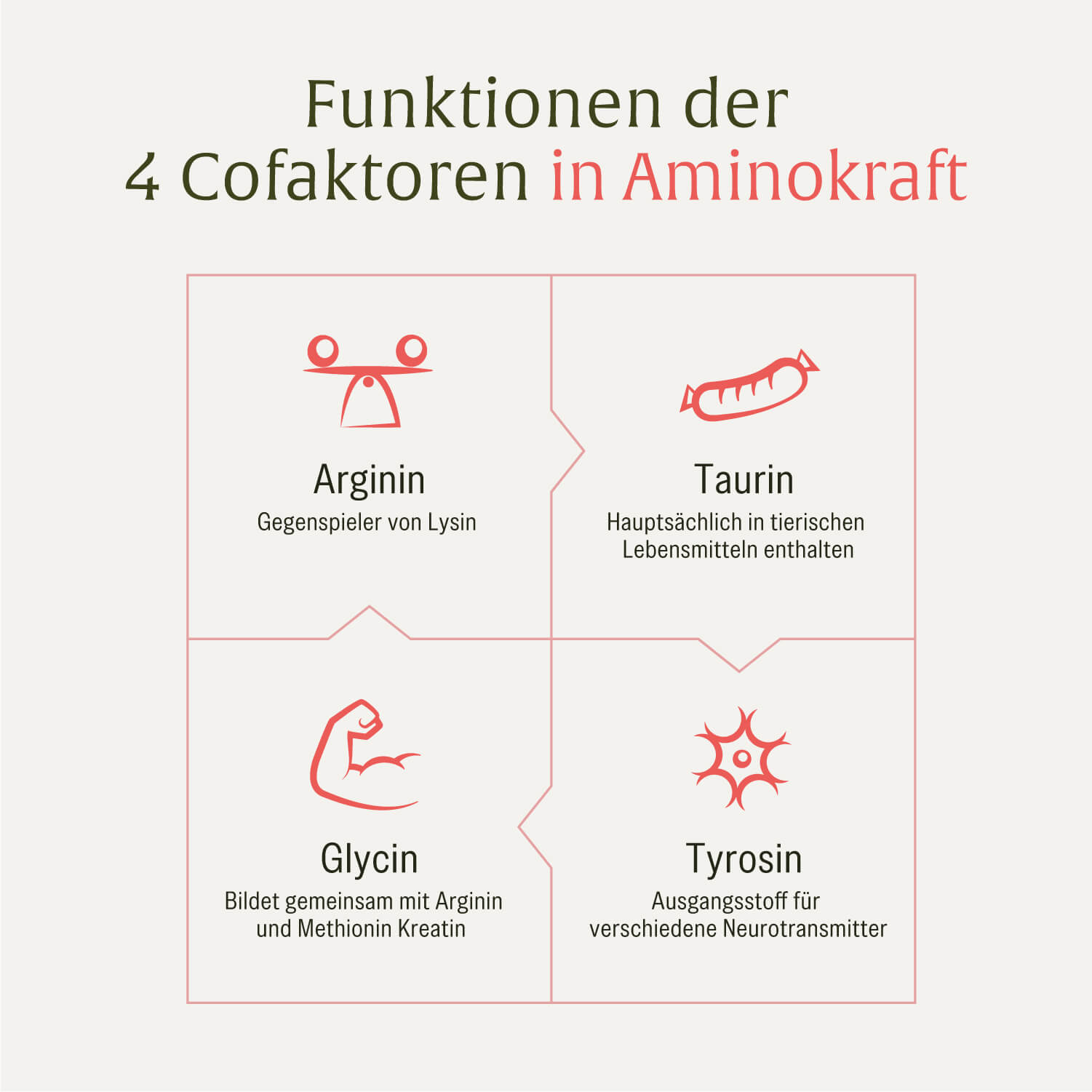 Aminokraft Aminosäuren Komplex Cofaktoren