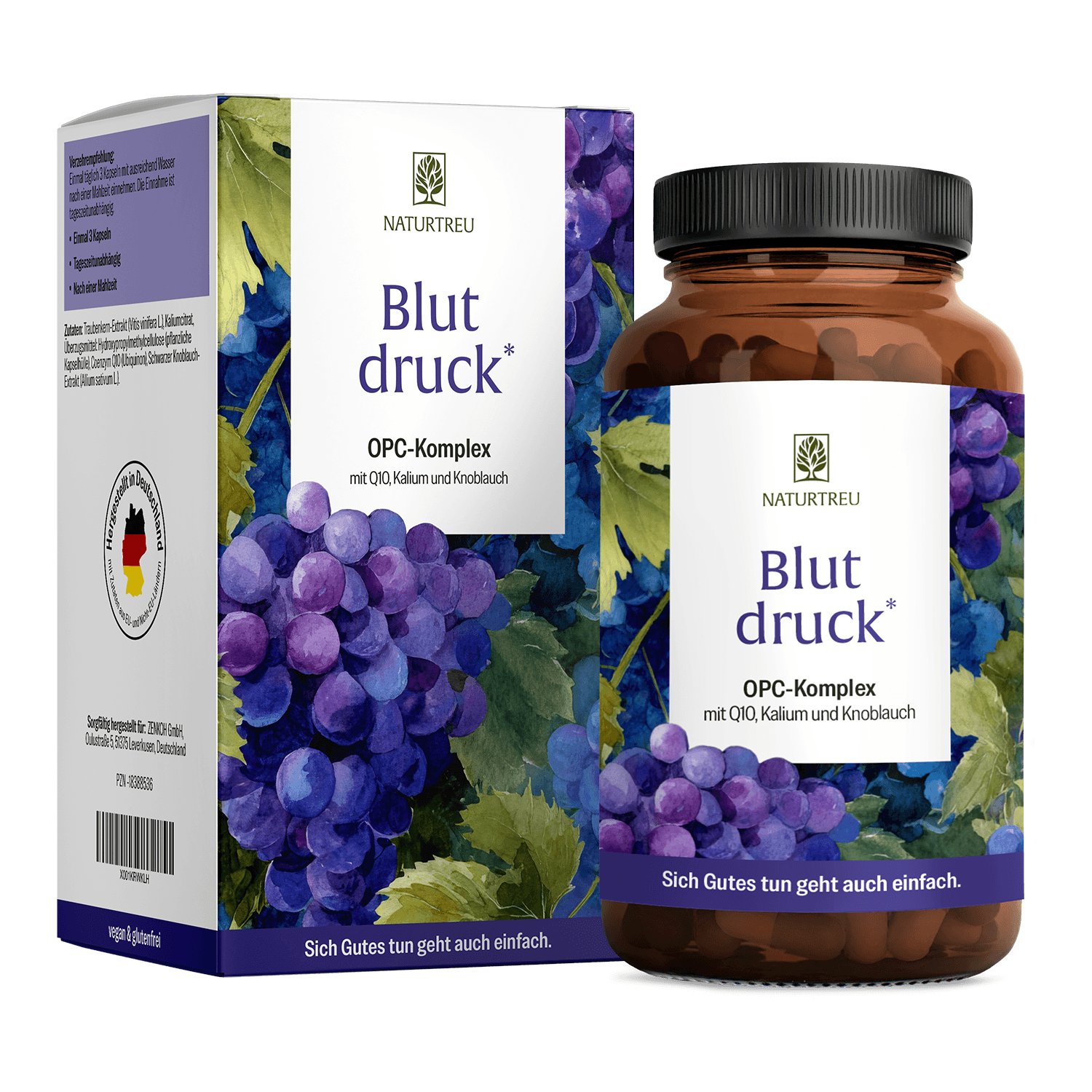 Blutdruck Titelbild