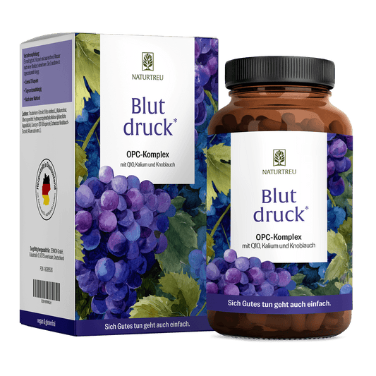 Blutdruck Titelbild