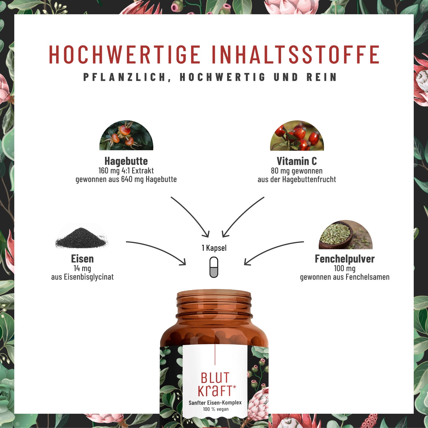 Blutkraft Eisen-Komplex Hochwertige Inhaltsstoffe