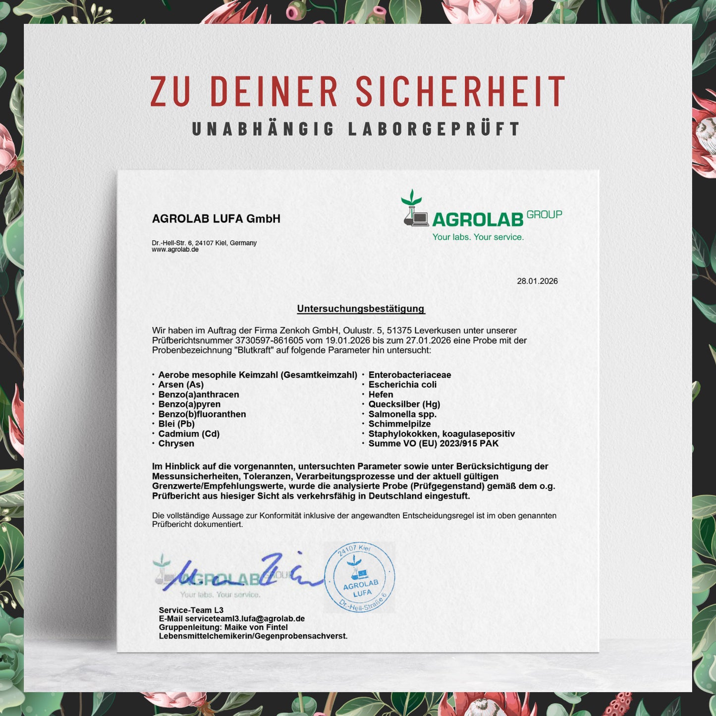 Blutkraft Eisen-Komplex Laborzertifikat