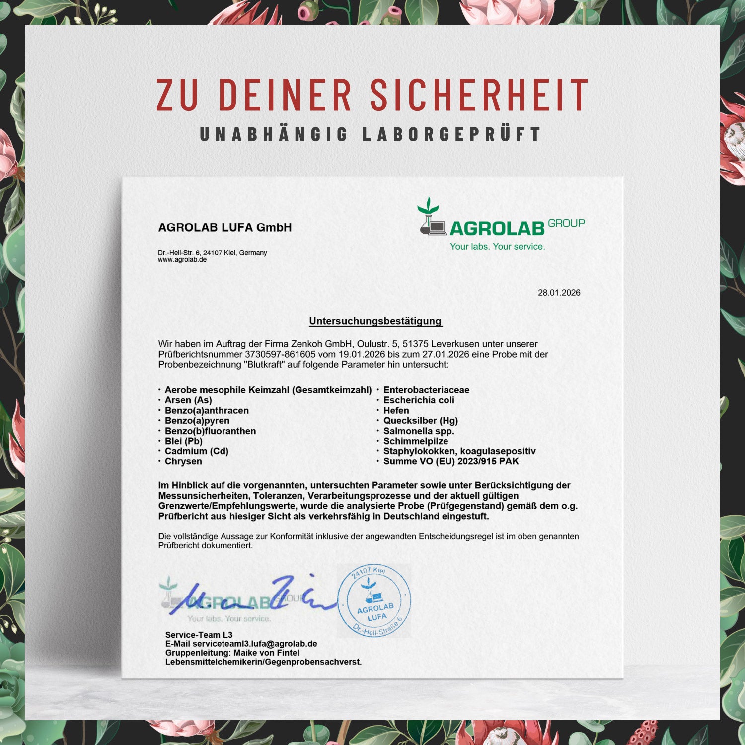 Blutkraft Eisen-Komplex Laborzertifikat