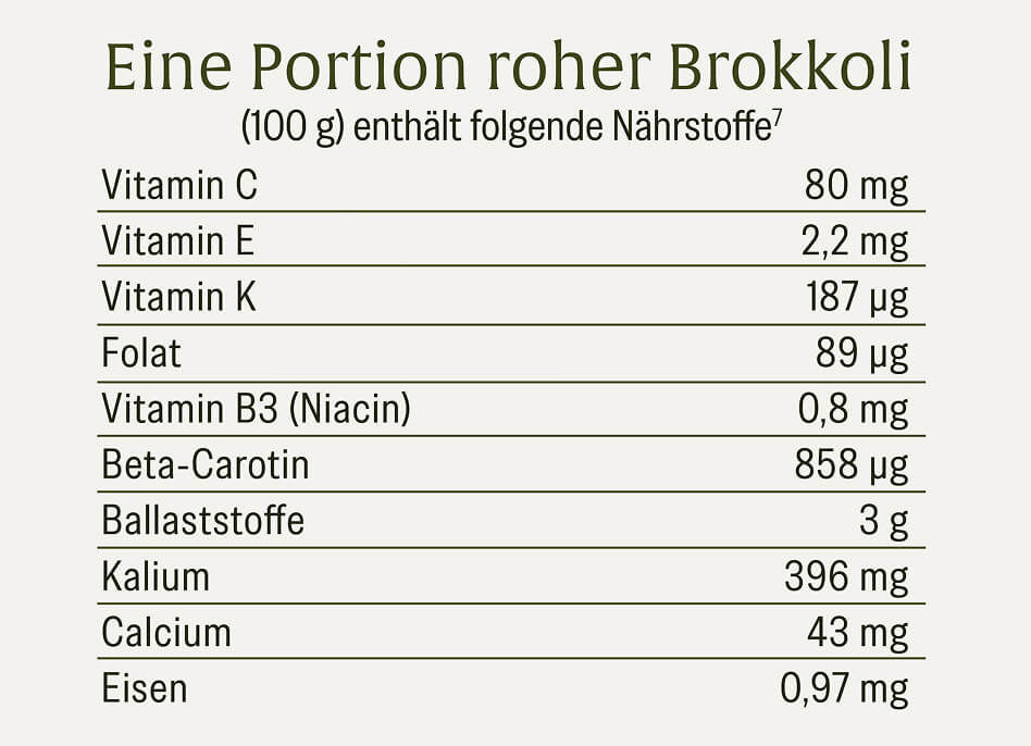 Der obere Teil einer Brokkolipflanze mitsamt der Brokkoliblüten, der Brokkoliröschen und einiger Blätter