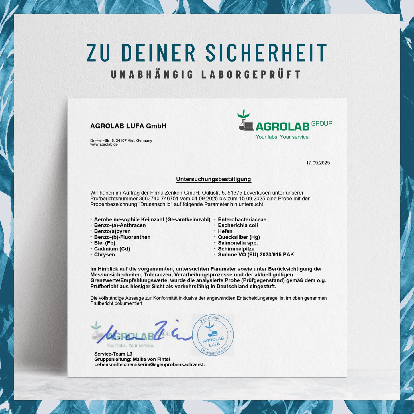Druesenschild Kelp-Komplex Jod Laborzertifikat