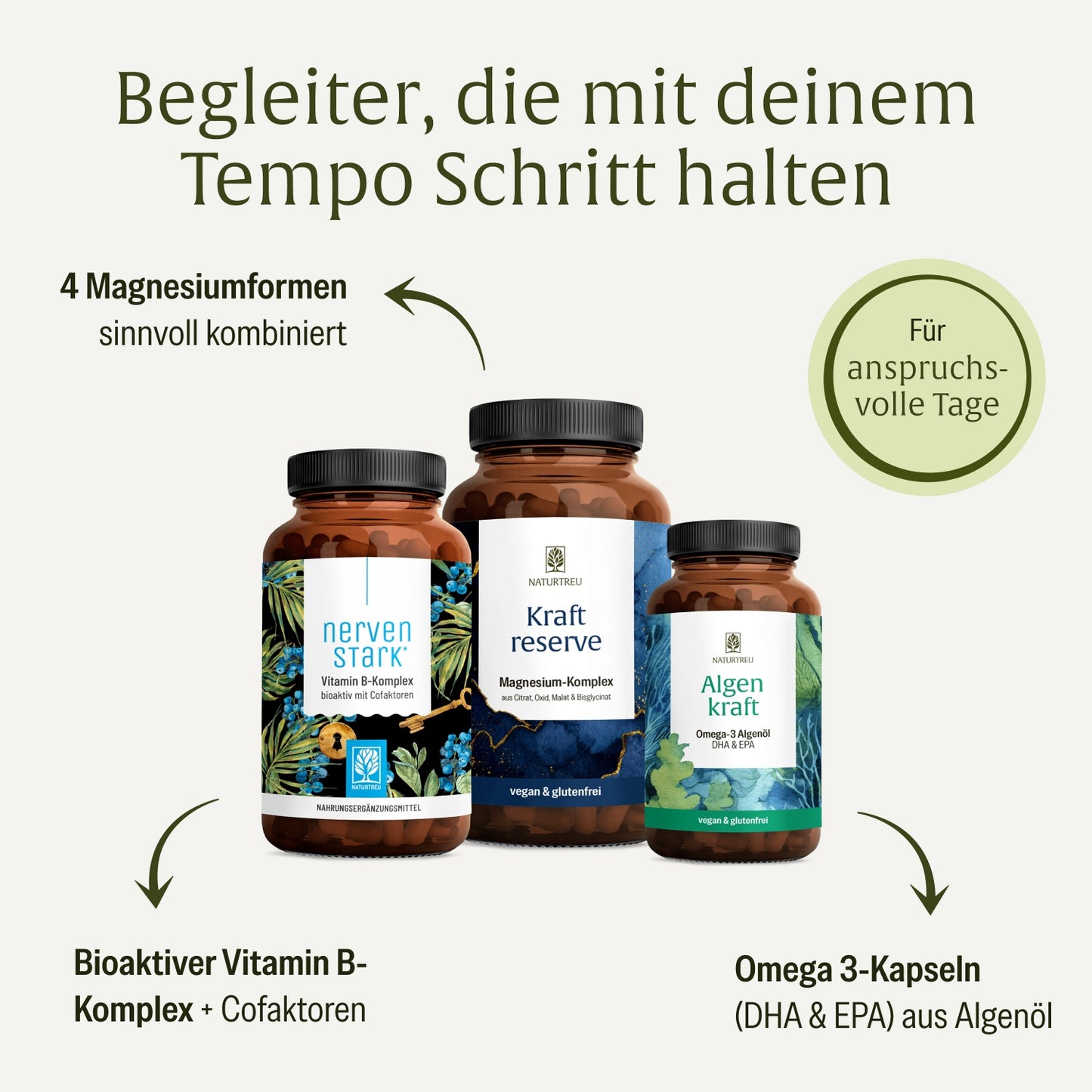 Durchstarter Sparpaket: Nervenstark, Kraftreserve & Algenkraft