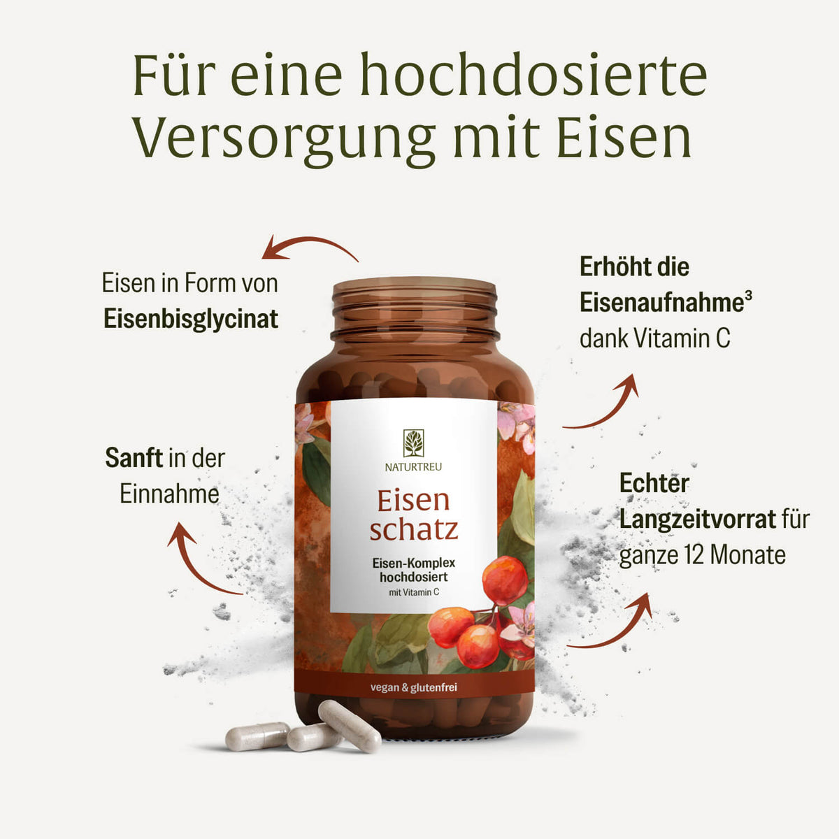 Eisenschatz Eisenkomplex Creatives DE Inhaltsstoffe