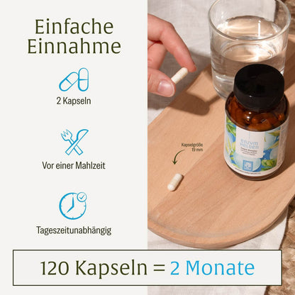 Enzymhelden: Enzym-Komplex mit Protease, Amylase, Lipase & Phytase