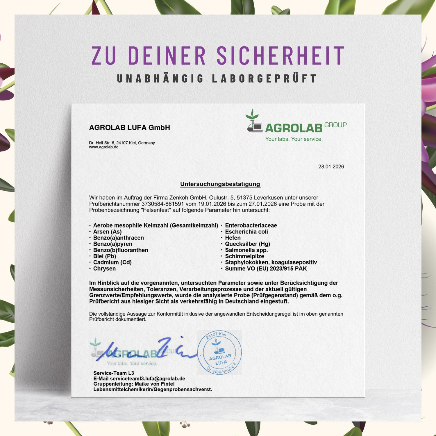 Felsenfest Passionsblume -Baldrian- Johanniskraut-Komplex Laborgeprueft 