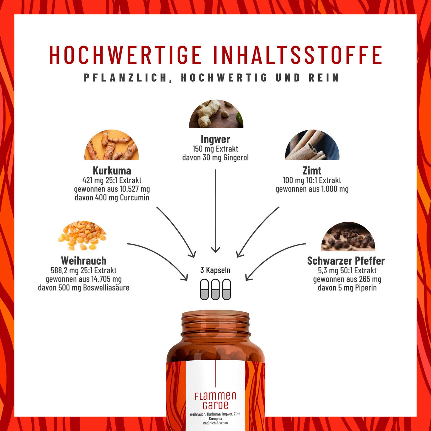 Flammengarde: Kurkuma Weihrauch Komplex mit Ingwer und Zimt
