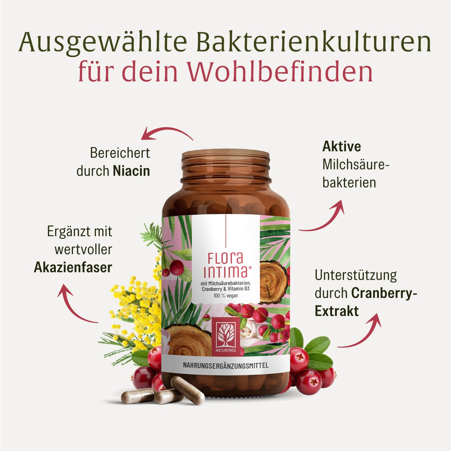 Alle Vorteile der Floraintima Kapseln von NATURTREU im Überblick: Aktive Milchsäurebakterien, ergänzt mit Akazienfaser, Niacin und Cranberry 