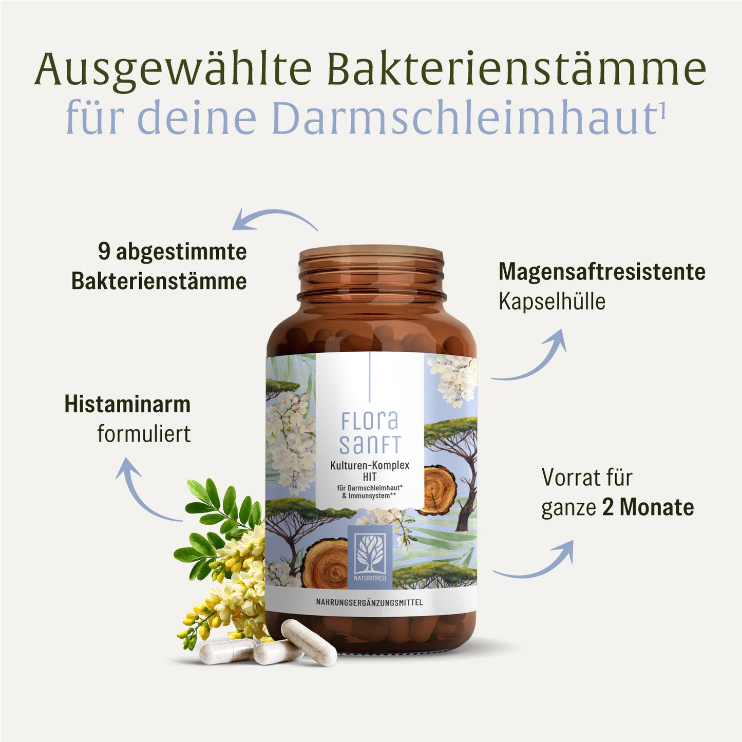 Florasanft Kulturen-Komplex Inhaltsstoffe