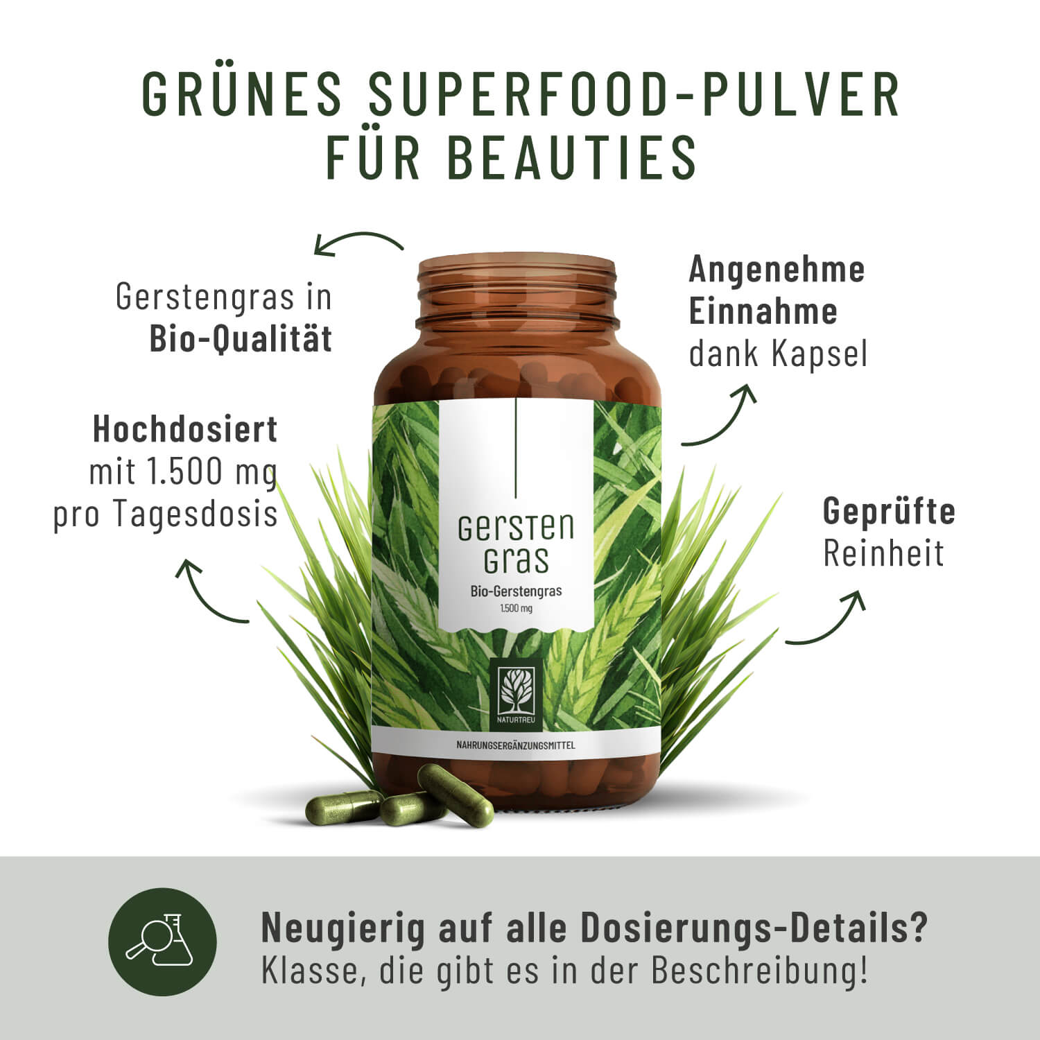 Gerstengras Creatives Onlineshop Inhaltsstoffe