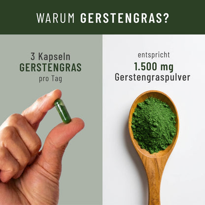 Gerstengras Creatives Onlineshop Warum