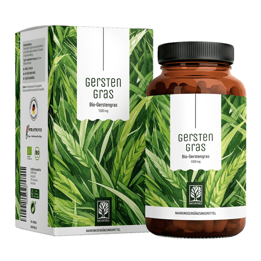 Gerstengras Bio-Gerstengras Titelbild