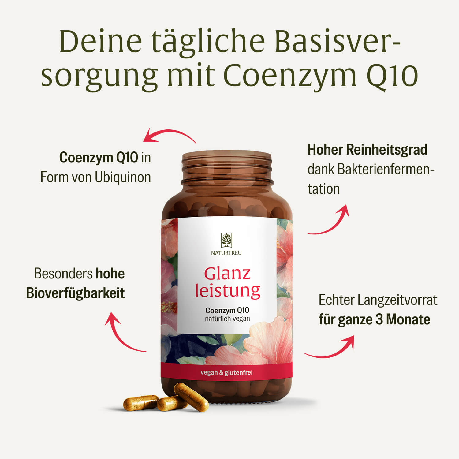 Glanzleistung Coenzym Q10 Hochwertige Inhaltsstoffe