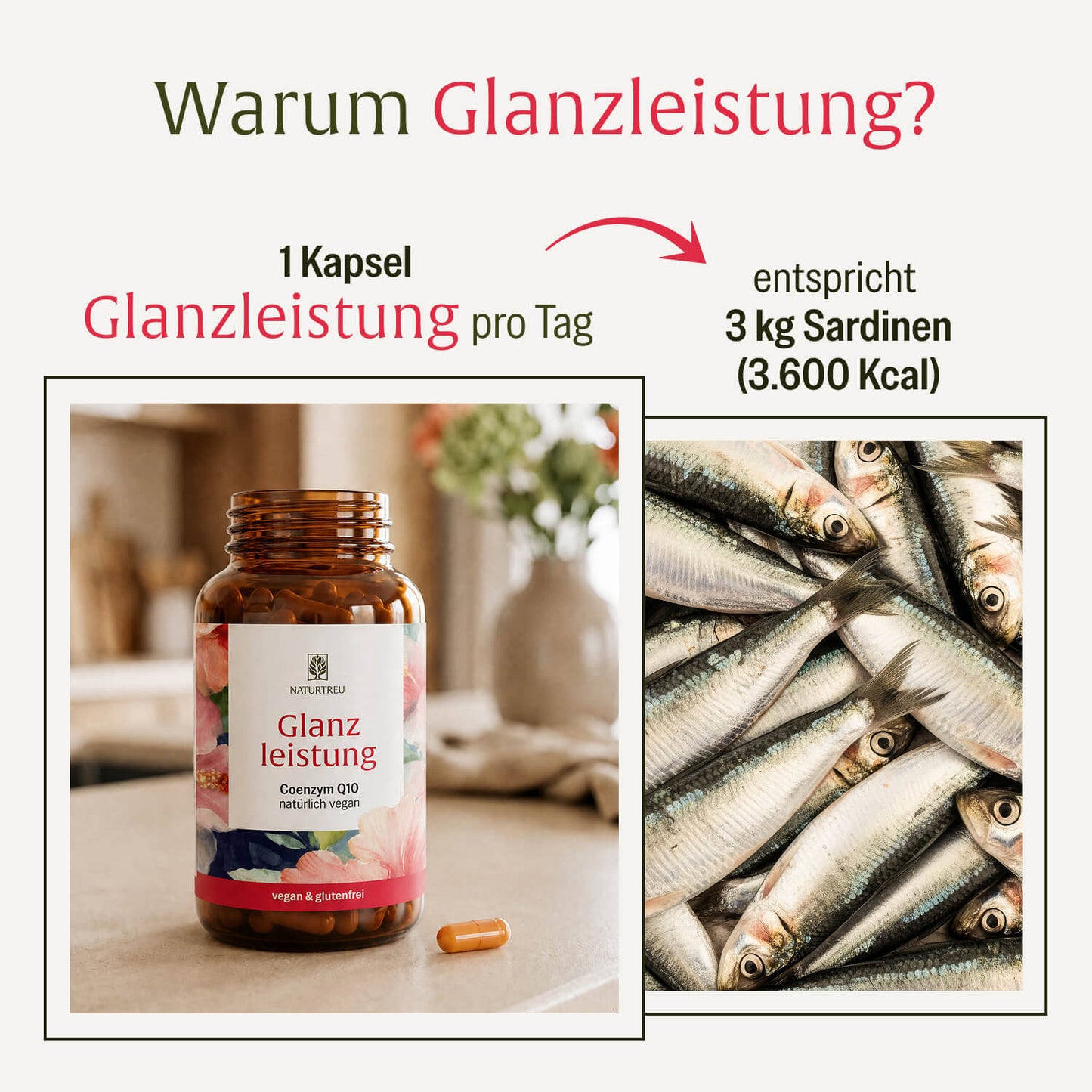 Glanzleistung Coenzym Q10 im Vergleich