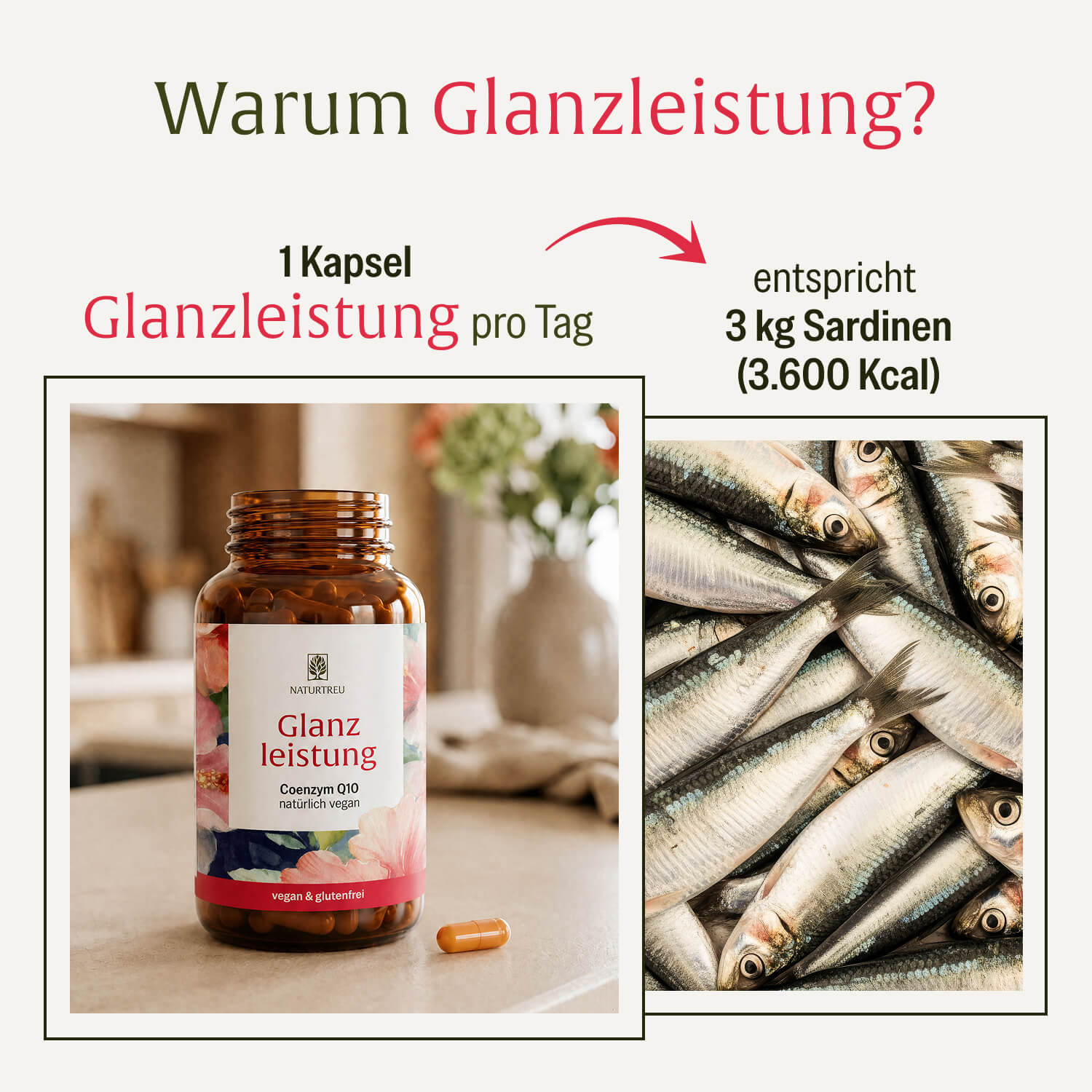 Glanzleistung Coenzym Q10 im Vergleich