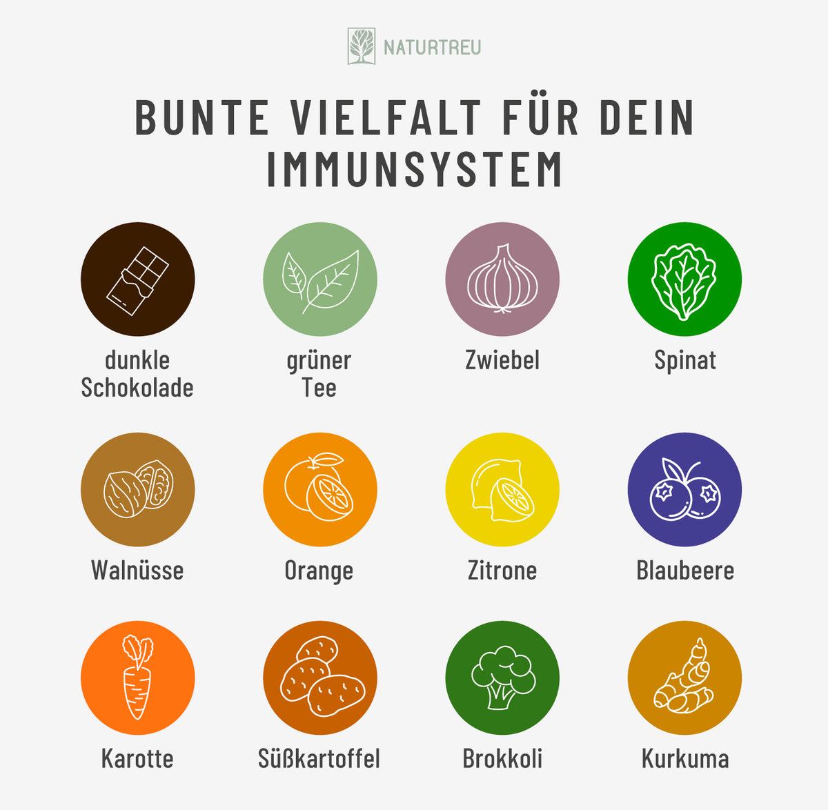 Man sieht Obst und Gemüse Arten, die zu einer gesunden Ernährung dazugehören.  