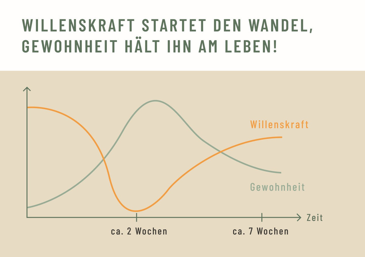 Gesunde Routinen entwickeln durch Gewohnheit 