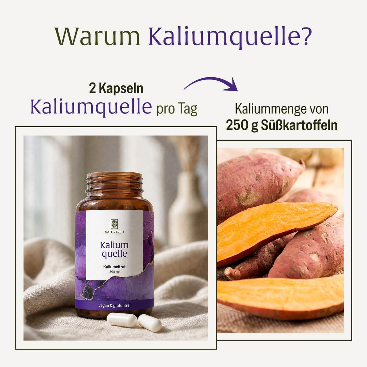 Kaliumquelle: Kalium Kapseln mit 800 mg elementarem Kalium