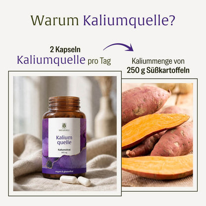 Kaliumquelle: Kalium Kapseln mit 800 mg elementarem Kalium