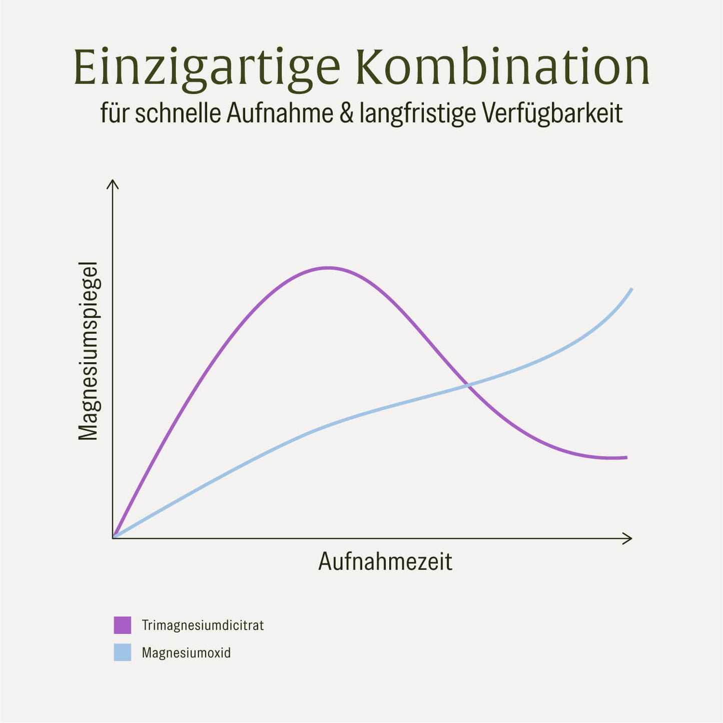 Grafik: Einzigartige Kombination verschiedener Magnesiumformen für eine schnelle Aufnahme und langfristige Verfügbarkeit 