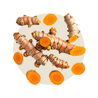 Kurkuma (frisch)