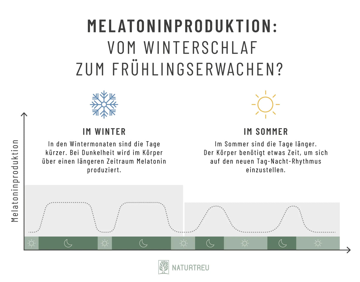 Melatonin steuert den natürlichen Tag-Nacht-Rhythmus