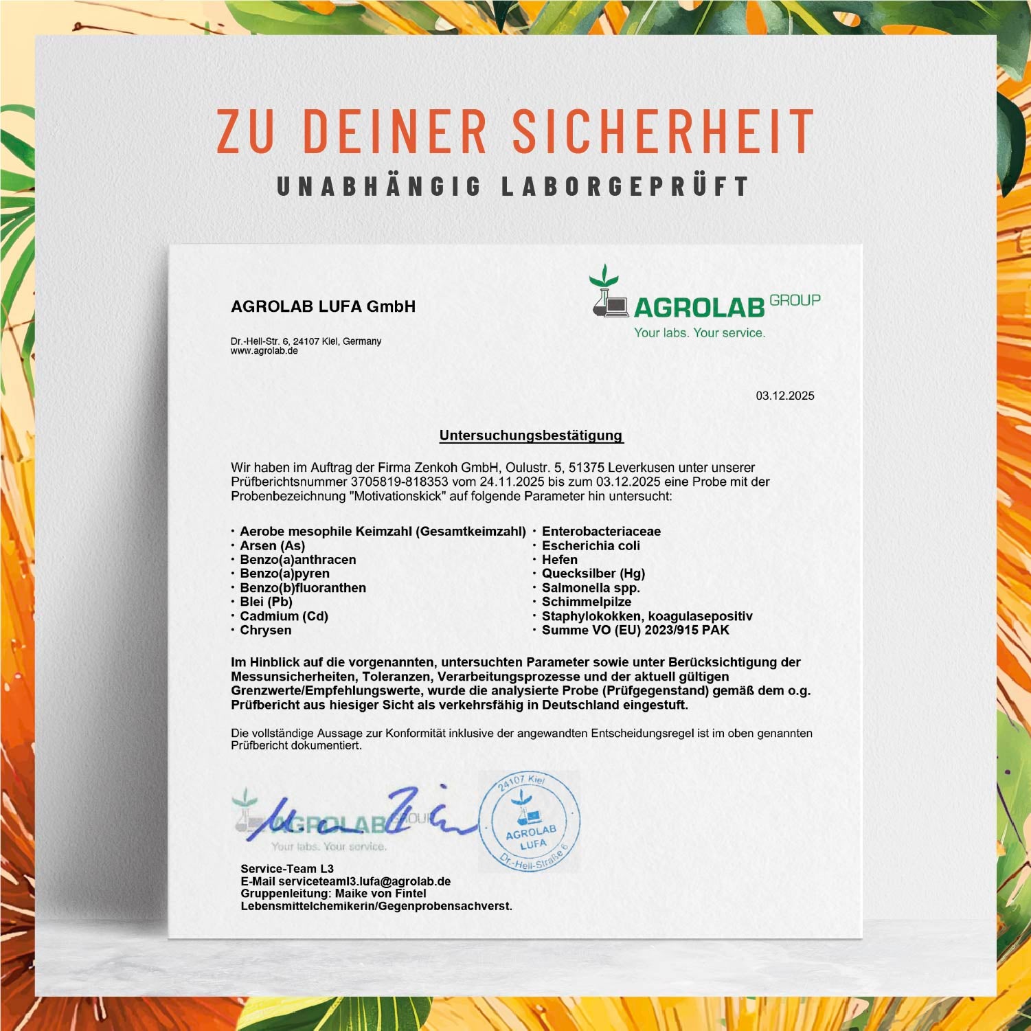Motivationskick L-Tyrosin-Komplex Laborzertifikat