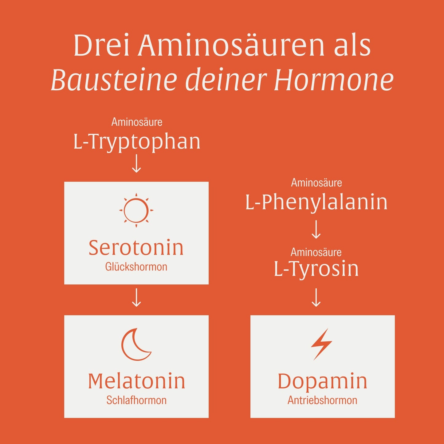 Motivationskick: L-Tyrosin-Komplex mit L-Tryptophan & L-Phenylalanin