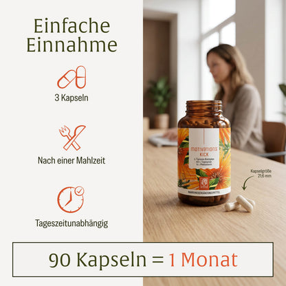 Motivationskick: L-Tyrosin-Komplex mit L-Tryptophan & L-Phenylalanin
