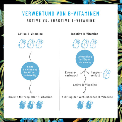 Grafik: Bioaktive B-Vitamine in NATURTREU Nervenstark Vitamin B Komplex – direkte Aufnahme ohne Umwandlungsverlust im Körper.