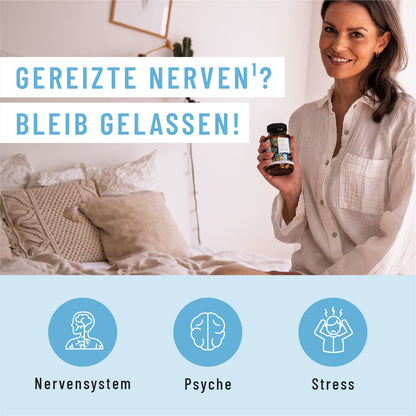 Grafik: B-Vitamine leisten einen wichtigen Beitrag für Nerven, Energie und Psyche.