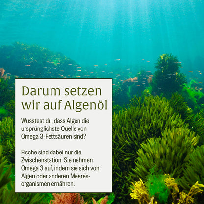 Omega 3 Familien Sparpaket: Algenkraft & Algenknirps