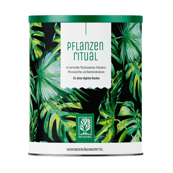 Grünes Superfood Pulver